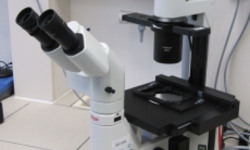 Microbiological microscope Leica DM IL LED Fluo