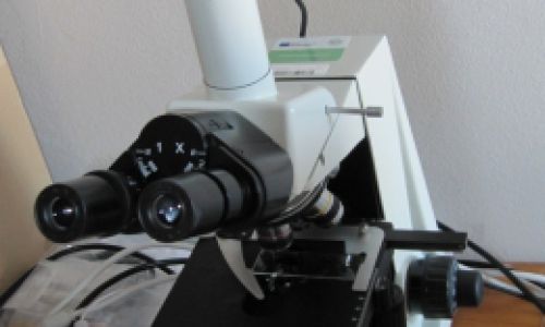 Optical microscope N 400M